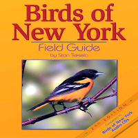 Bird Watching Guides - State and Regional